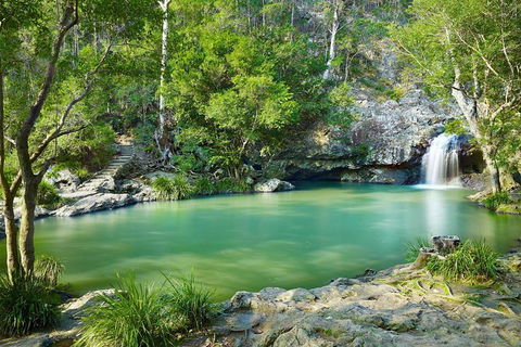 Explore Maleny, Montville, And Take A Swim Under The Waterfall. - Attractions Melbourne 7