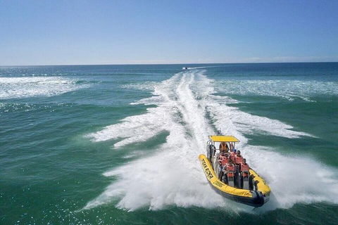 Noosa Oceanrider - Thrill Ride - Attractions Melbourne 2