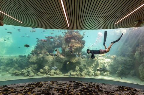 Whitehaven Beach And Daydream Island Cruise - Attractions Melbourne 6