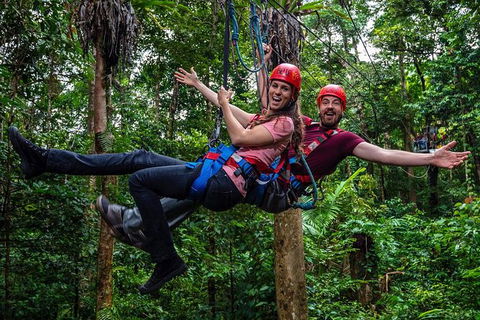 Daintree Atttractions Pass: The Best Of The Daintree In A Day - Attractions Melbourne 1