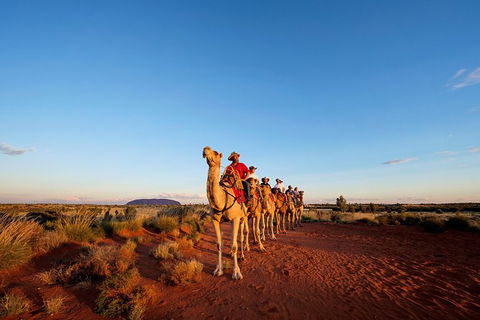 Uluru Small-Group Tour By Camel At Sunrise Or Sunset - Attractions Melbourne 0