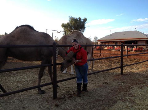 Uluru Small-Group Tour By Camel At Sunrise Or Sunset - Attractions Melbourne 21