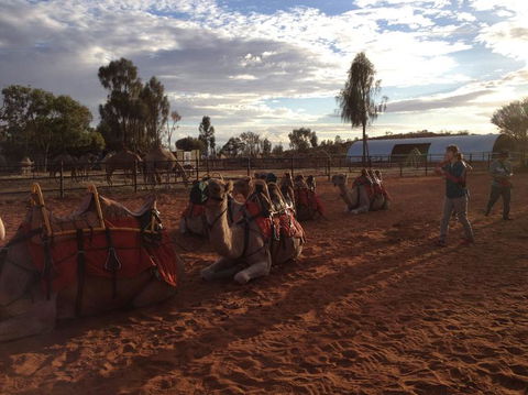 Uluru Small-Group Tour By Camel At Sunrise Or Sunset - Attractions Melbourne 23
