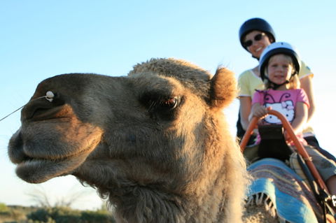 Uluru Small-Group Tour By Camel At Sunrise Or Sunset - Attractions Melbourne 3