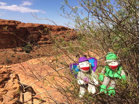 Kings Canyon Day Trip From Ayers Rock - Attractions Melbourne 23
