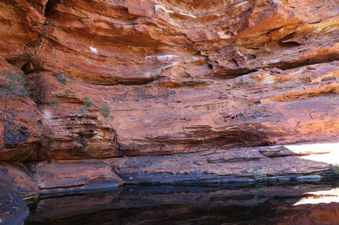 Kings Canyon Day Trip From Ayers Rock - Attractions Melbourne 16