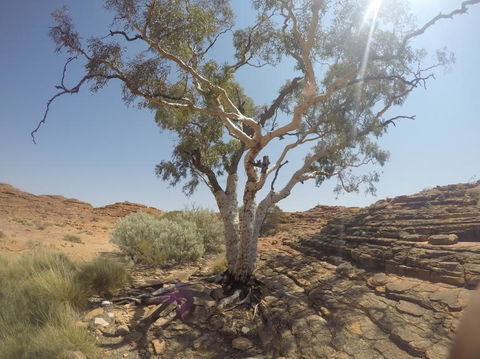Kings Canyon Day Trip From Ayers Rock - Attractions Melbourne 3