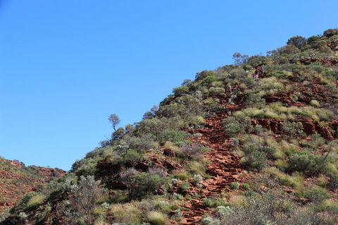 Kings Canyon Day Trip From Ayers Rock - Attractions Melbourne 21