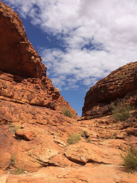 Kings Canyon Day Trip From Ayers Rock - Attractions Melbourne 25