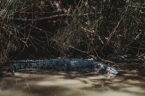 Kakadu Full-Day Tour From Darwin With Lunch - Attractions Melbourne 13