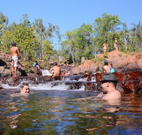 Litchfield and Jumping Crocodiles Full Day Trip from Darwin - Attractions Melbourne