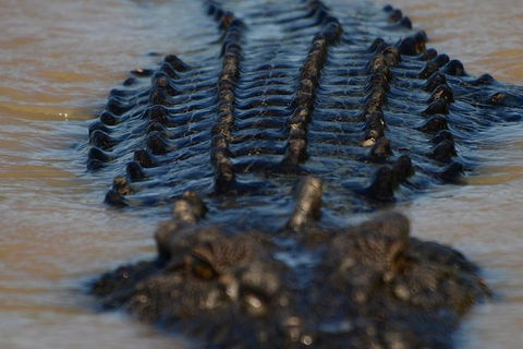 Darwin Jumping Crocodiles Cruise On Adelaide River - Attractions Melbourne 1