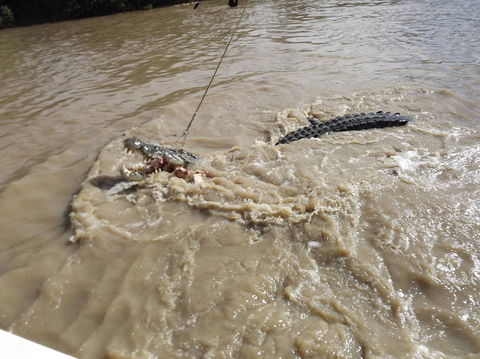 Darwin Jumping Crocodiles Cruise On Adelaide River - Attractions Melbourne 8