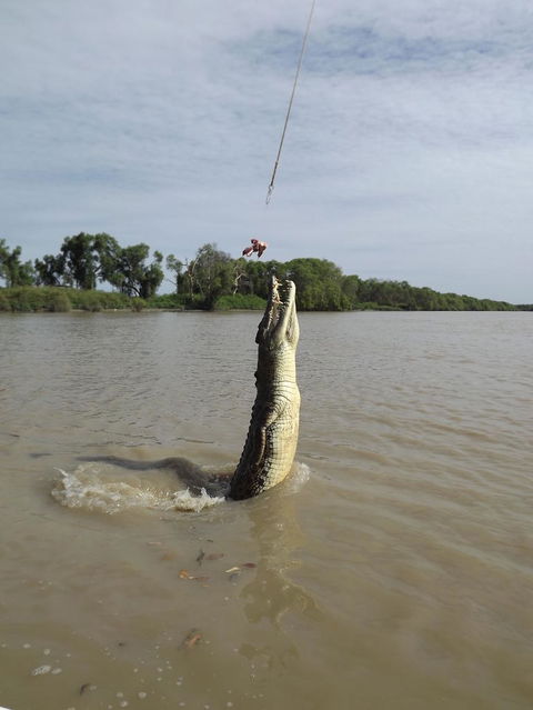 Darwin Jumping Crocodiles Cruise On Adelaide River - Attractions Melbourne 2