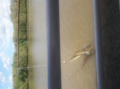 Darwin Jumping Crocodiles Cruise On Adelaide River - Attractions Melbourne 3