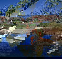 Palm Valley 4WD Tour - Attractions Melbourne