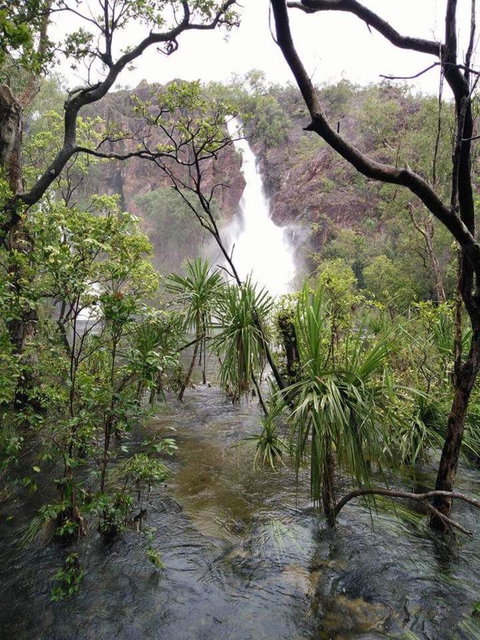 Small-Group Litchfield National Park Day Trip From Darwin - Attractions Melbourne 6
