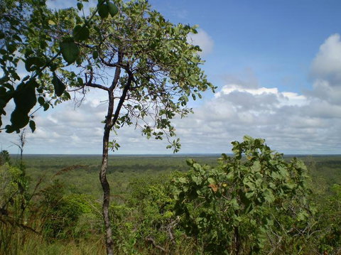 Small-Group Litchfield National Park Day Trip From Darwin - Attractions Melbourne 8