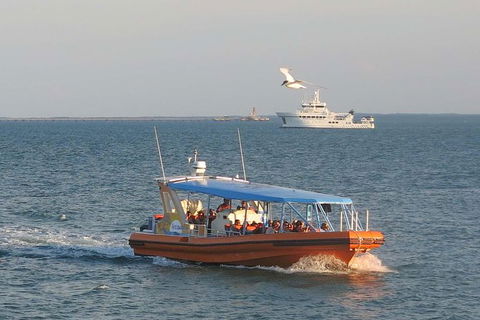 1-Hour Darwin Harbour Highlights Cruise - Attractions Melbourne 0