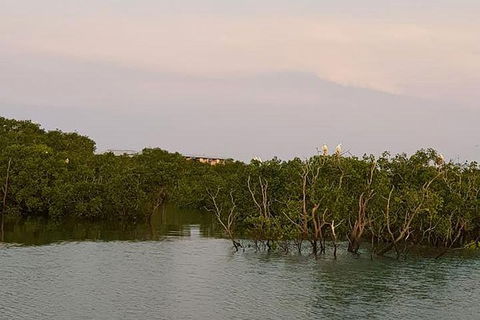 1-Hour Darwin Harbour Highlights Cruise - Attractions Melbourne 7