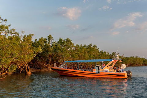 1-Hour Darwin Harbour Highlights Cruise - Attractions Melbourne 3