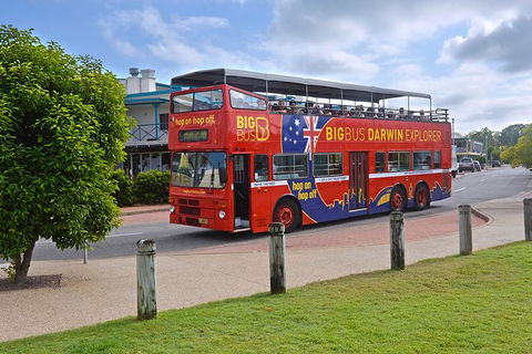 Darwin Shore Excursion: Hop-on Hop-off Bus Tour - Attractions Melbourne 0