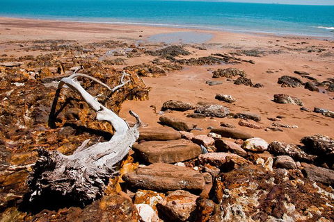Darwin Shore Excursion: Hop-on Hop-off Bus Tour - Attractions Melbourne 9