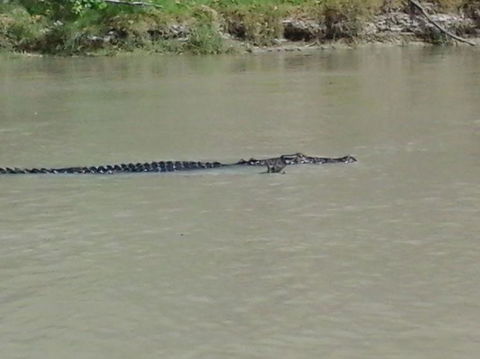 3-Day Kakadu National Park And Arnhem Land Explorer Tour From Darwin - Attractions Melbourne 7