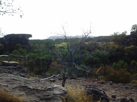 3-Day Kakadu National Park And Arnhem Land Explorer Tour From Darwin - Attractions Melbourne 14