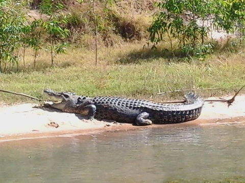 3-Day Kakadu National Park And Arnhem Land Explorer Tour From Darwin - Attractions Melbourne 6
