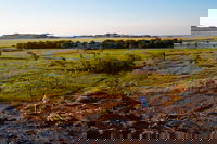 3-Day Kakadu National Park and Waterfalls Tour from Darwin