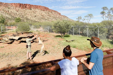 Alice Springs Desert Park General Entry Ticket - Attractions Melbourne 9