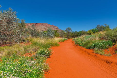Alice Springs Desert Park General Entry Ticket - Attractions Melbourne 7