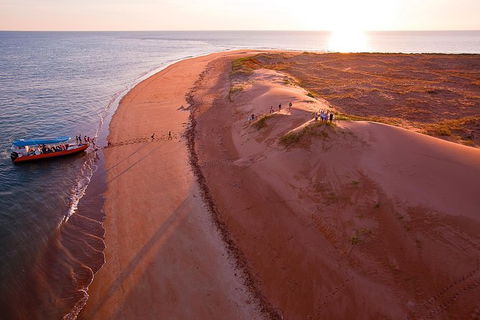 Turtle Tracks Tour To Bare Sand Island From Darwin - Attractions Melbourne 6