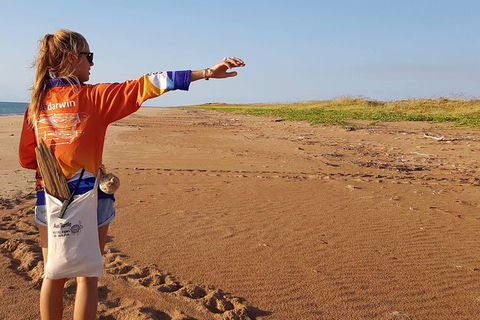 Turtle Tracks Tour To Bare Sand Island From Darwin - Attractions Melbourne 7