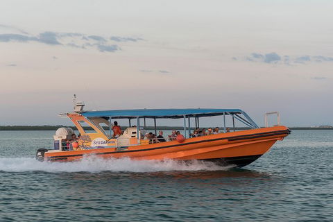 Turtle Tracks Tour To Bare Sand Island From Darwin - Attractions Melbourne 5