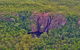 Litchfield Park Scenic Flight From Darwin - thumb 10