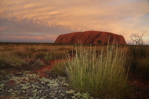 Coach Transfer From Kings Canyon Resort To Ayers Rock Resort - Attractions Melbourne 7