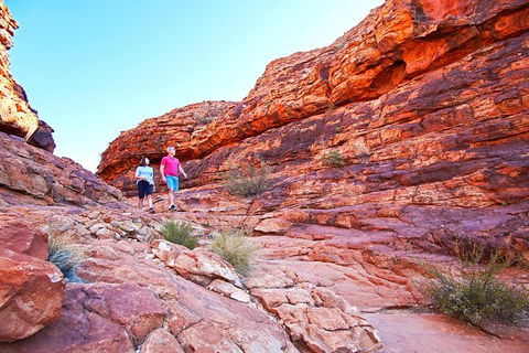 Coach Transfer From Kings Canyon Resort To Ayers Rock Resort - Attractions Melbourne 6