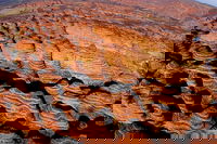 Bungle Bungles  Lake Argyle Air Tour from Darwin