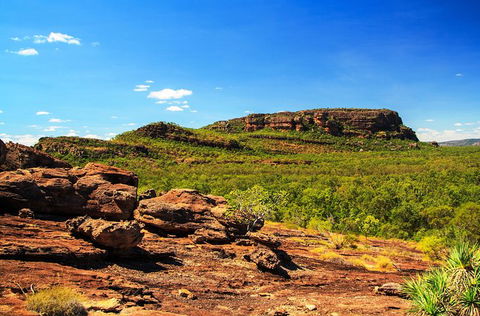 Kakadu, Nourlangie And Yellow Waters Tour From Darwin - Attractions Melbourne 34