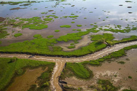 Kakadu National Park Scenic Flight - Attractions Melbourne 10