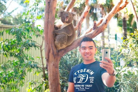 All Inclusive Full-Day Blue Mountains Trip From Sydney - Attractions Melbourne 1