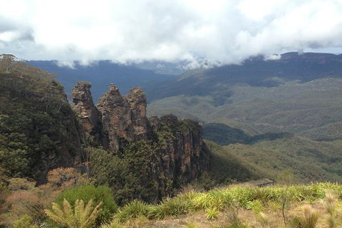 All-Inclusive Blue Mountains Tour In A Luxury Mercedes Sprinter - Attractions Melbourne 11