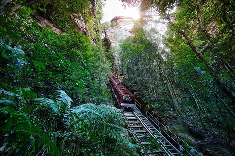 All-Inclusive Blue Mountains Tour In A Luxury Mercedes Sprinter - Attractions Melbourne 3
