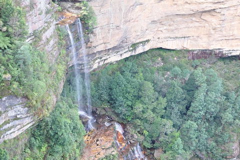 All-Inclusive Blue Mountains Tour In A Luxury Mercedes Sprinter - Attractions Melbourne 17