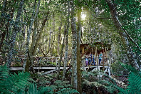 All-Inclusive Blue Mountains Tour In A Luxury Mercedes Sprinter - Attractions Melbourne 19