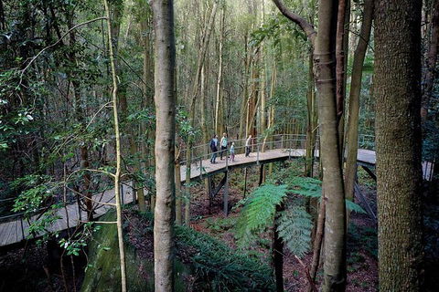 All-Inclusive Blue Mountains Tour In A Luxury Mercedes Sprinter - Attractions Melbourne 13
