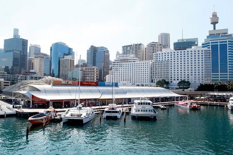 Sydney Attraction Pass: Darling Harbour Experience Ticket - Attractions Melbourne 0