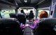 Sydney Airport Arrival Transfer (Airport To Sydney Central Business District) - thumb 5